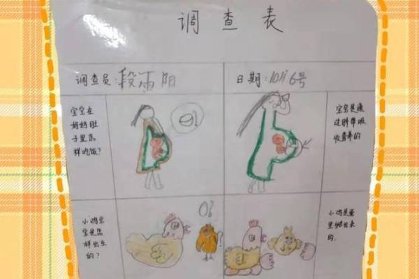 探索生命的奥秘:寻找存在的意义与价值 探索生命的奥秘:寻找存在的意义与价值