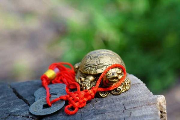 金命人最适合的配饰:让你焕发独特魅力的选择 金命人最适合的配饰:让你焕发独特魅力的选择