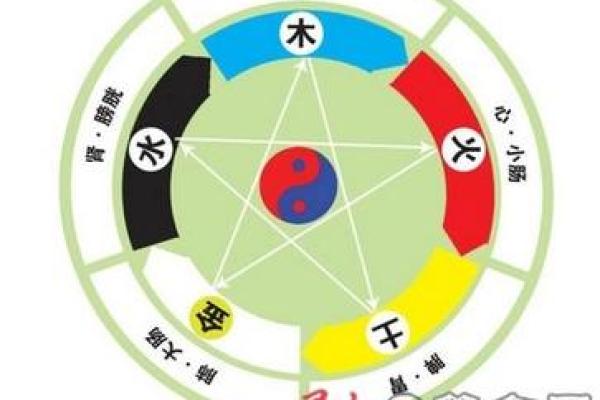 揭秘蛇大林木命的颜色奥秘,让我们一同探索生命的色彩 揭秘蛇大林木命的颜色奥秘,让我们一同探索生命的色彩