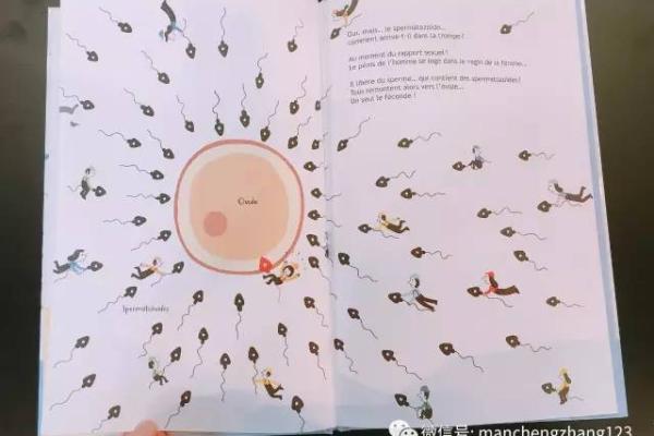 1993年出生的鸡命:探索人生的独特密码与命理启示 1993年出生的鸡命:探索人生的独特密码与命理启示