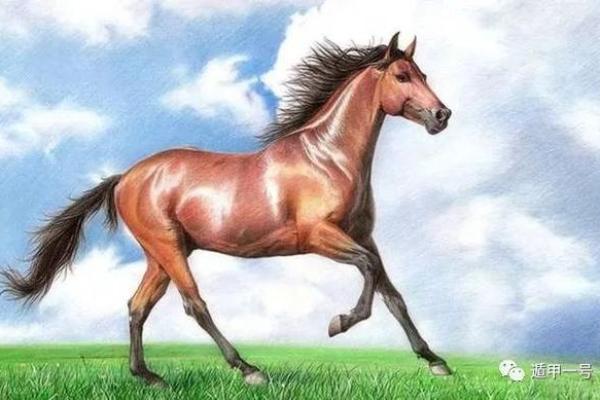 一九六六属马的人生秘密：了解你的命运与运势