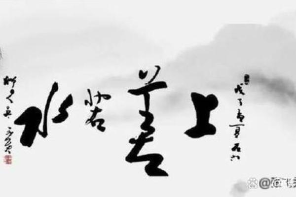 命运不是摆设，努力争取才是王道！