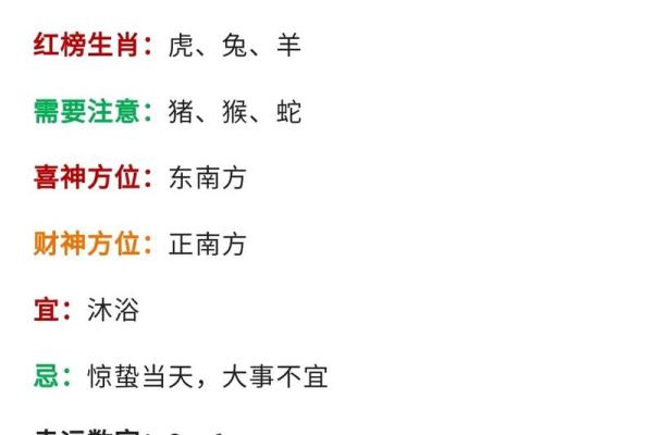 2023年兔年运势分析:命理、缺失与改善之道分享 2023年兔年运势分析:命理、缺失与改善之道分享