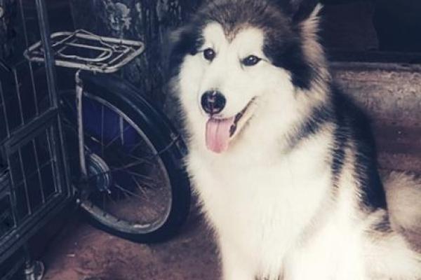 1964年5月7日出生的人命理解析与生活启示 1964年5月7日出生的人命理解析与生活启示