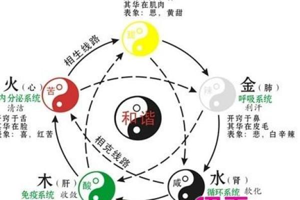 揭秘命格:哪些命格老了发财效果最佳? 揭秘命格:哪些命格老了发财效果最佳?