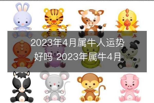 2023年牛年命理解析:从生肖角度看你的命运与人生方向 2023年牛年命理解析:从生肖角度看你的命运与人生方向