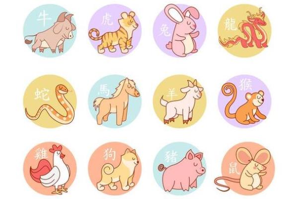 2012年是什么命？探寻那年的生肖与命理奥秘