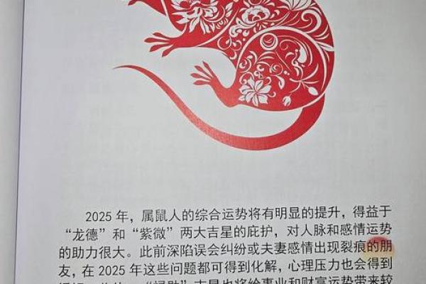 2012年是什么命？探寻那年的生肖与命理奥秘