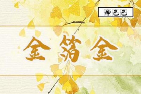 金命人士的手表选择:饰品象征与命理结合的智慧之选 金命人士的手表选择:饰品象征与命理结合的智慧之选