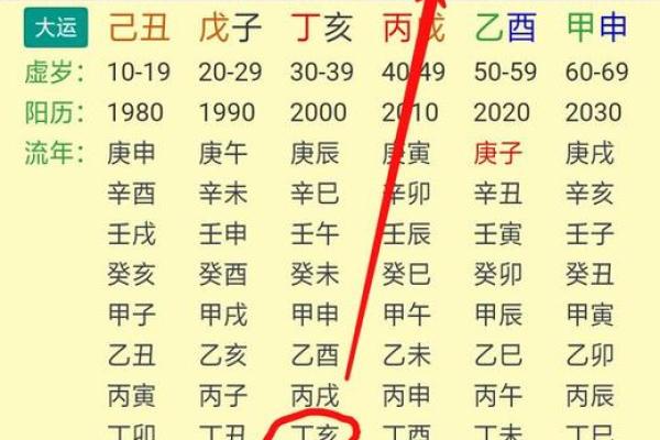 丁亥猪是什么命?探寻其命理特征与人生运势 丁亥猪是什么命?探寻其命理特征与人生运势