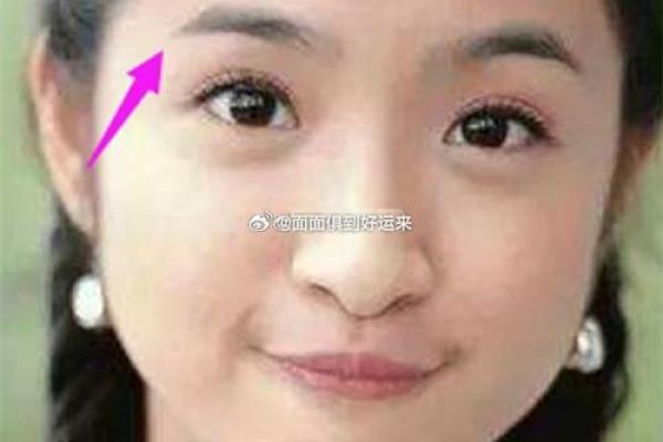 从眉毛看富贵命:女人眉形与命运的千丝万缕关系 从眉毛看富贵命:女人眉形与命运的千丝万缕关系