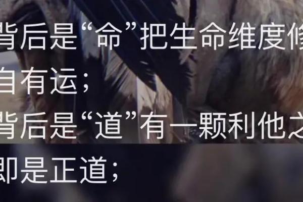 命不苦——掌握生活的真谛，创造精彩人生