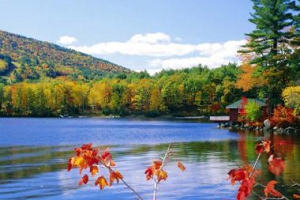 鸡年戌时出生的人有什么命运特征与人生指导 鸡年戌时出生的人有什么命运特征与人生指导