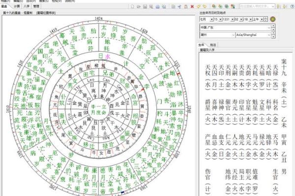 探秘己巳日男命:命格特征与人生道路的深刻解析 探秘己巳日男命:命格特征与人生道路的深刻解析
