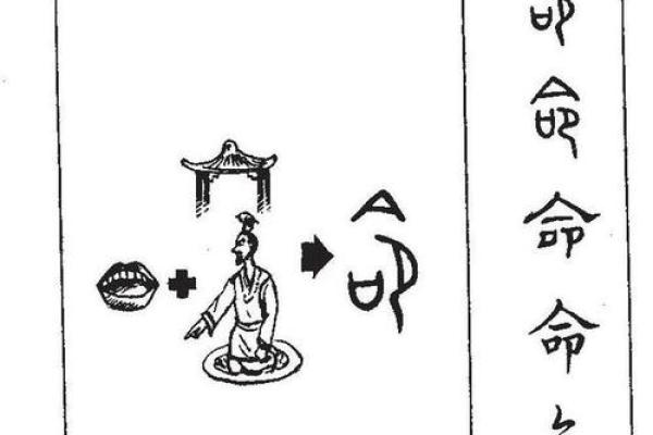 从命局分析看命格的深刻奥秘与人生轨迹 从命局分析看命格的深刻奥秘与人生轨迹