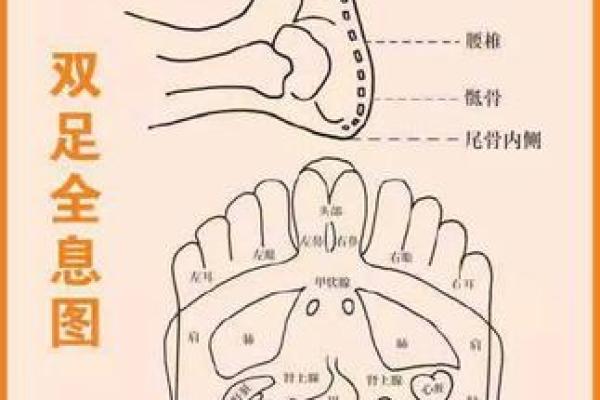 金命与相克相冲的奥秘:探究五行背后的智慧 金命与相克相冲的奥秘:探究五行背后的智慧