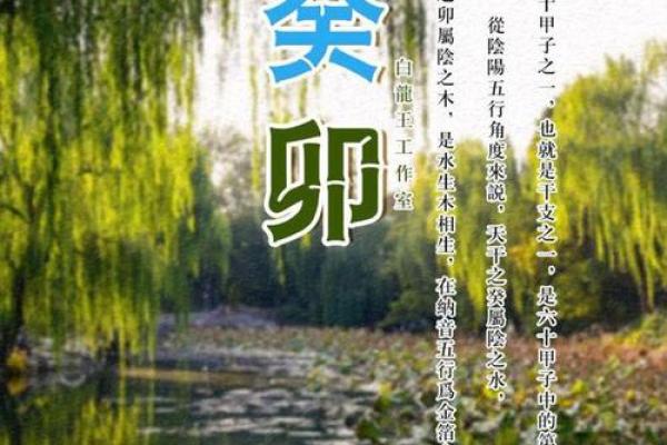 了解90年腊月十七出生人的命运与性格特征 了解90年腊月十七出生人的命运与性格特征