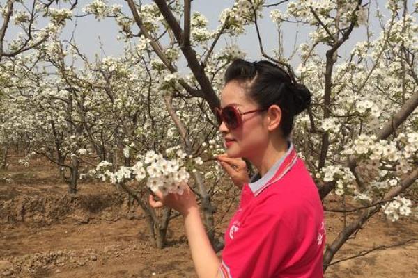 梨花命：探索与梨花同名的命运之美与生命哲学