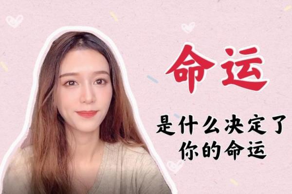 根据命格选择最适合你的宠物,让生活更幸福 根据命格选择最适合你的宠物,让生活更幸福