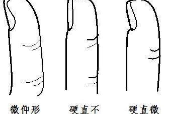 丁丑年出生的人:命运与性格的深度解析 丁丑年出生的人:命运与性格的深度解析