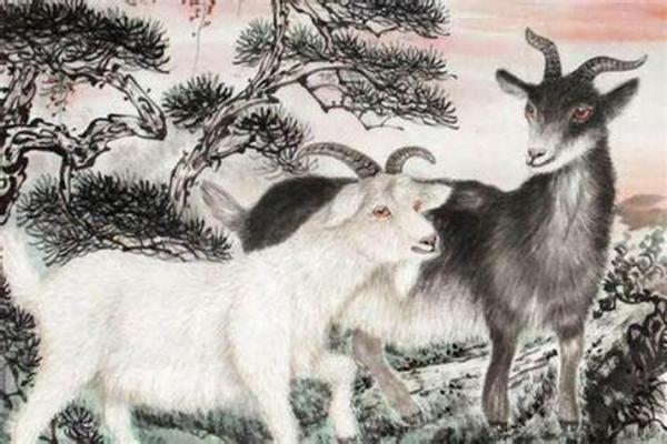 1981属羊人的命理解析与生活启示 1981属羊人的命理解析与生活启示