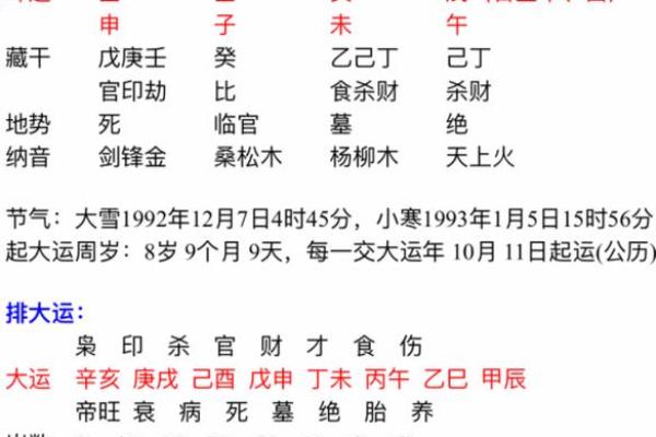 1992年属什么命?揭秘这年的命理特色与人生轨迹! 1992年属什么命?揭秘这年的命理特色与人生轨迹!