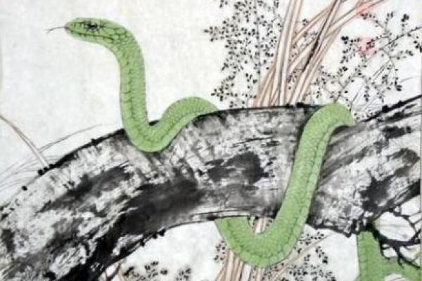 1979年出生的人属什么?解密命理与人生的魅力之旅! 1979年出生的人属什么?解密命理与人生的魅力之旅!