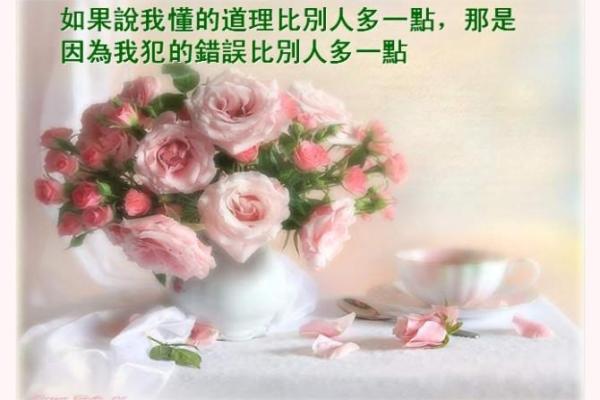 1979年出生的人属什么?解密命理与人生的魅力之旅! 1979年出生的人属什么?解密命理与人生的魅力之旅!