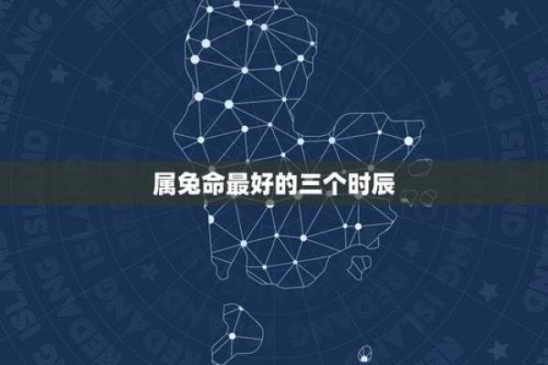 2011属兔人的命运解析:从性格到运势的全方位了解 2011属兔人的命运解析:从性格到运势的全方位了解
