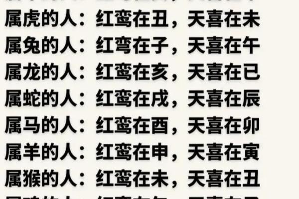 2008年属鼠:探索其命理与人生道路的奥秘 2008年属鼠:探索其命理与人生道路的奥秘