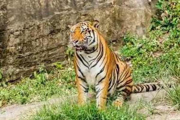 2106年是什么命?揭示未来的命理密码! 2106年是什么命?揭示未来的命理密码!