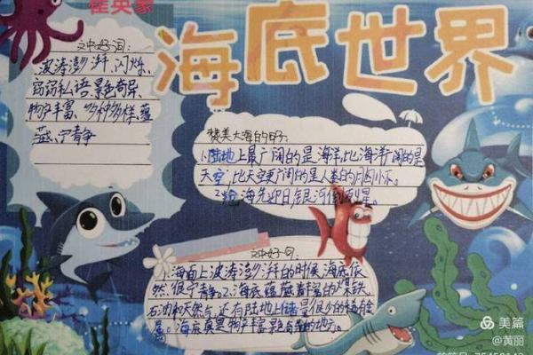 探秘海洋:海水命的养生与幸福之道 探秘海洋:海水命的养生与幸福之道