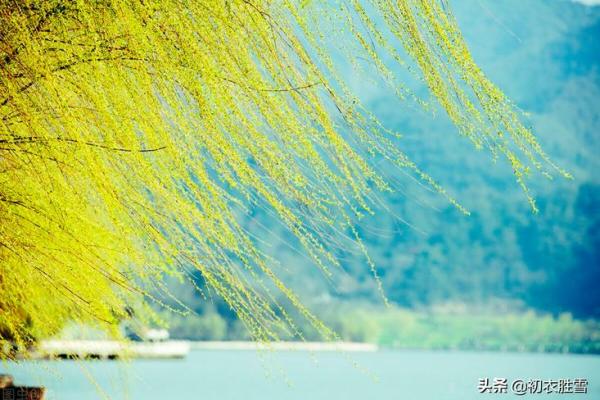 解读《甲你惜命命》的深刻含义与情感世界 解读《甲你惜命命》的深刻含义与情感世界