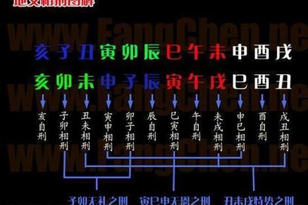 己丑年出生的人:命运、性格与运势全面解析 己丑年出生的人:命运、性格与运势全面解析