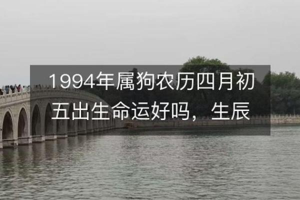 94年出生的人命运特点与属相解析