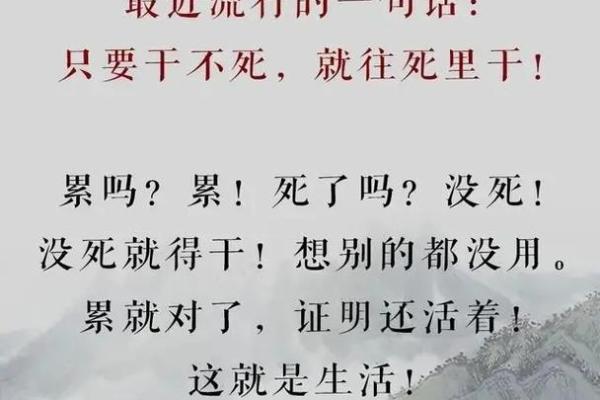 不信命的人教会了我什么:逆境中的坚持与奋斗 不信命的人教会了我什么:逆境中的坚持与奋斗