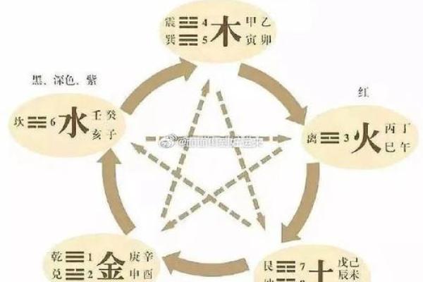 2019年属兔的五行命理解析与人生运势分析 2019年属兔的五行命理解析与人生运势分析