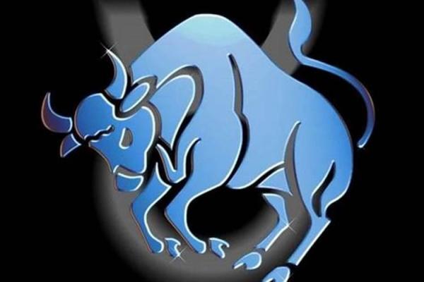 1973年属牛:探索五行中的金命与人生智慧 1973年属牛:探索五行中的金命与人生智慧