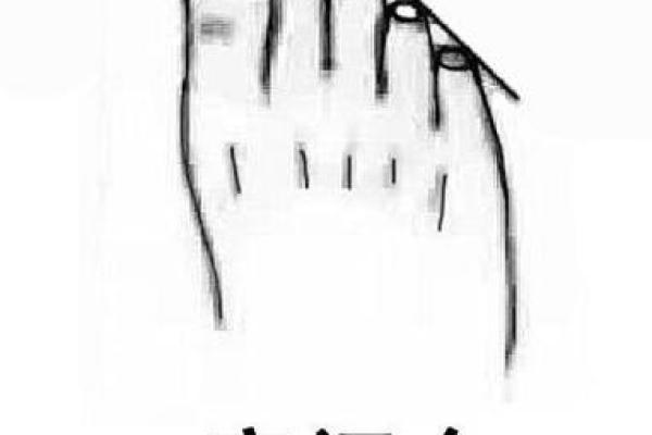 揭秘脚趾长度与命运之密:从脚看人生的奥秘 揭秘脚趾长度与命运之密:从脚看人生的奥秘