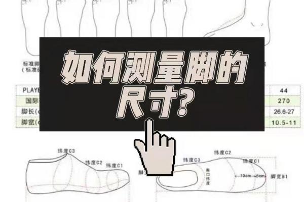 揭秘脚趾长度与命运之密:从脚看人生的奥秘 揭秘脚趾长度与命运之密:从脚看人生的奥秘