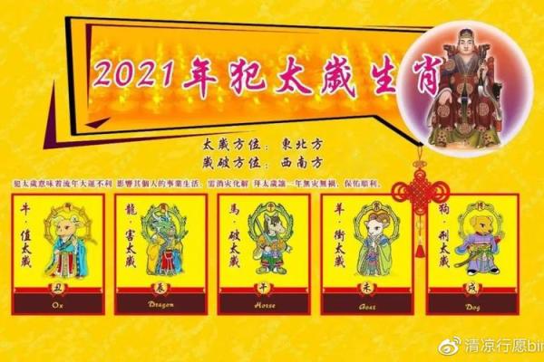 了解1973年属什么命:解析水牛年命理与人生运势 了解1973年属什么命:解析水牛年命理与人生运势