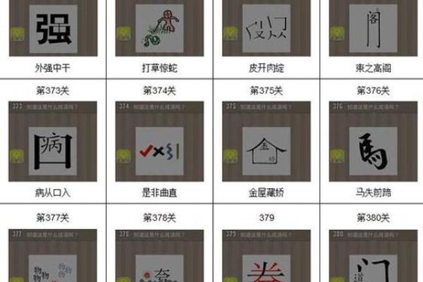 2005年木鸡命的色彩选择：幸运颜色与生活指南