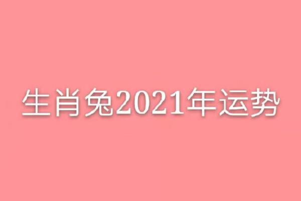 生肖兔2021年运势解析：命理与属相的深度剖析