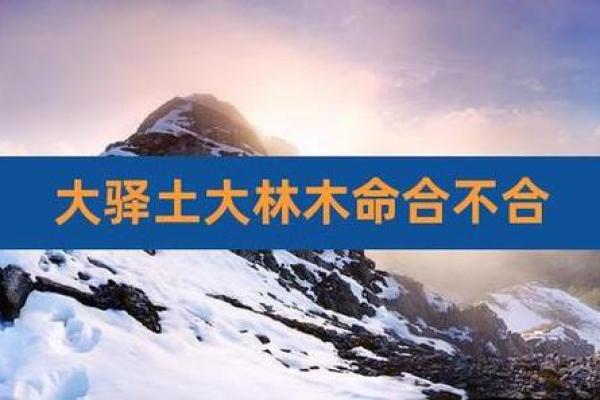 69年大驿土命：探寻坚韧与温暖的迷人世界
