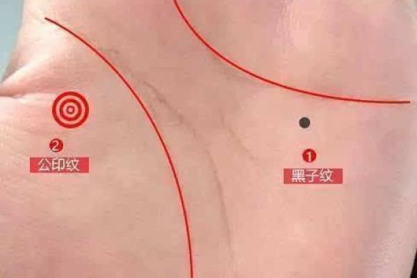 三种正财女命：探析她们的命格特征与富贵之道