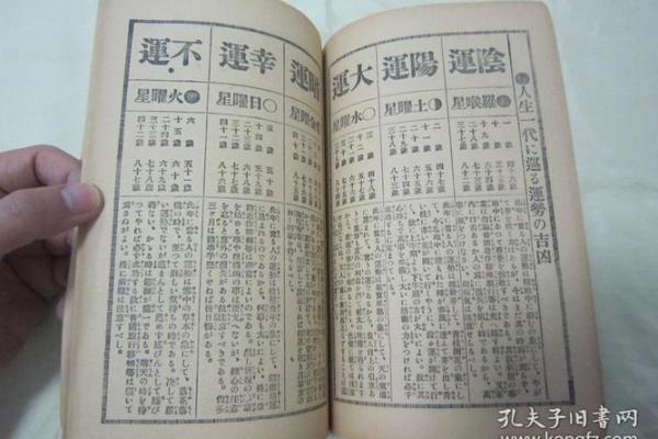 20017年的命运：探索人生与命理的奥秘