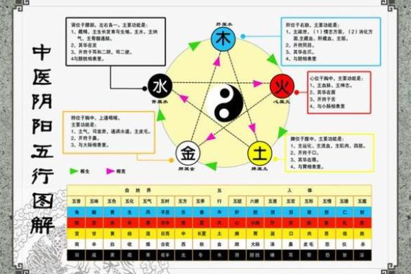 探索五行之谜：解读命理中的金木水火土与人生轨迹