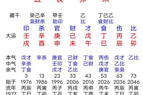 探索童子命：揭示命运背后的秘密与机遇