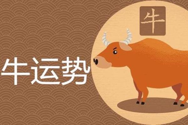 牛年命人的运势密码：如何掌握机遇与挑战的平衡