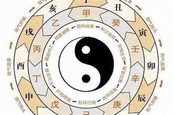 探秘命理学：辛丑日出生的你属于什么？